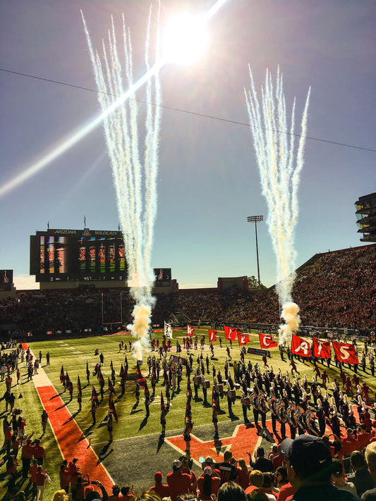 Fan Culture: How Sports Unite Us All - Sportoz