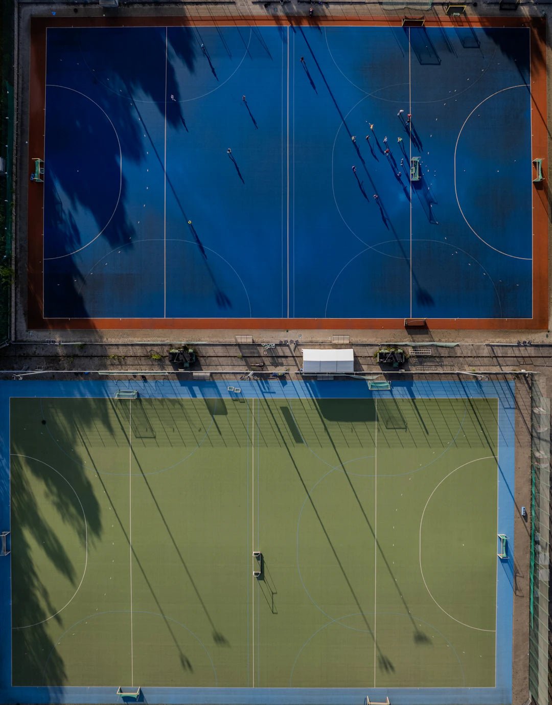 Exploring the Vibrant Tapestry of Global Sports Culture - Sportoz